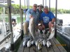 (05/26/2018) - Nice Striped Bass